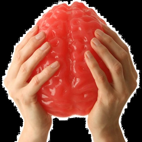 Alien Autopsy Life Size Gummy Human Brain For Sale